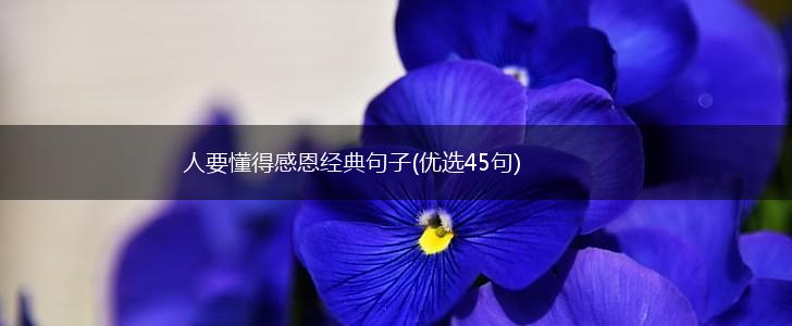 人要懂得感恩经典句子(优选45句),第1张