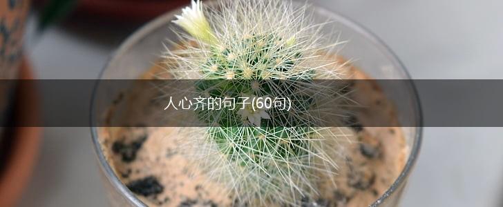 人心齐的句子(60句),第1张