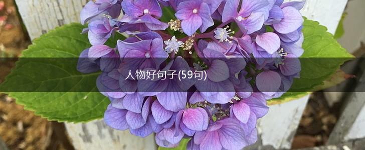 人物好句子(59句),第1张