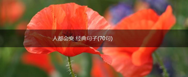 人都会变 经典句子(70句),第1张