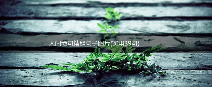 人间绝句精辟句子图片(实用39句),第1张