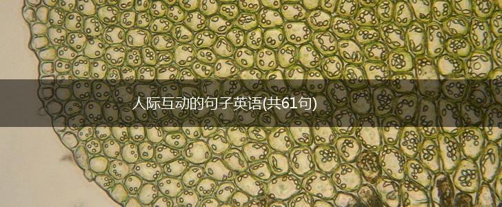 人际互动的句子英语(共61句),第1张