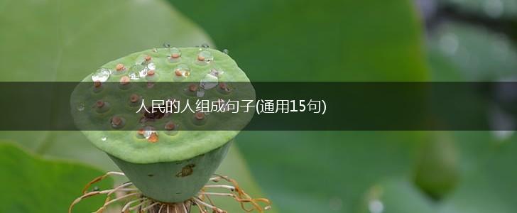 人民的人组成句子(通用15句),第1张