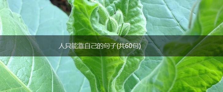 人只能靠自己的句子(共60句),第1张
