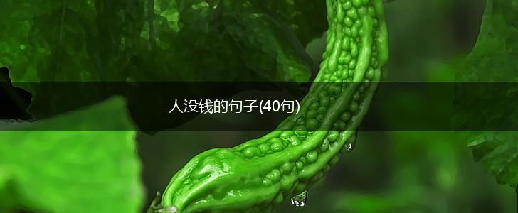 人没钱的句子(40句),第1张