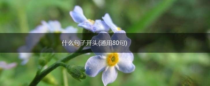 什么句子开头(通用80句),第1张