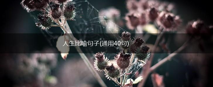 人生比喻句子(通用40句),第1张