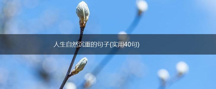 人生自然沉重的句子(实用40句),第1张