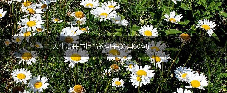 人生责任与担当的句子(通用60句),第1张