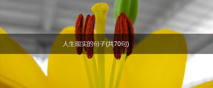 人生现实的句子(共70句),第1张