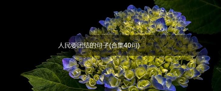 人民要团结的句子(合集40句),第1张