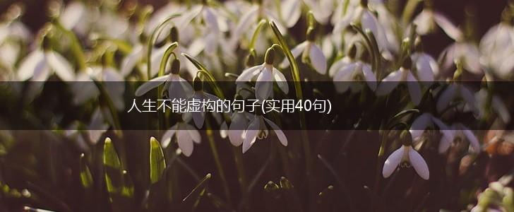 人生不能虚构的句子(实用40句),第1张