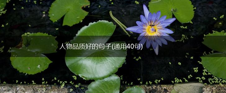 人物品质好的句子(通用40句),第1张