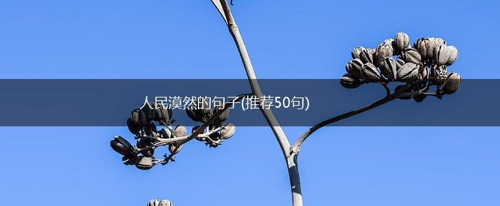 人民漠然的句子(推荐50句),第1张