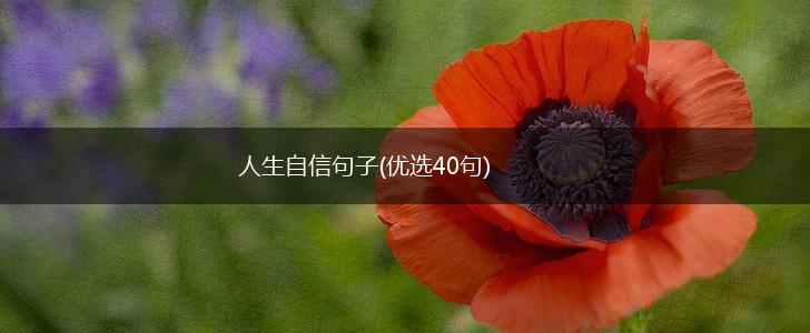 人生自信句子(优选40句),第1张