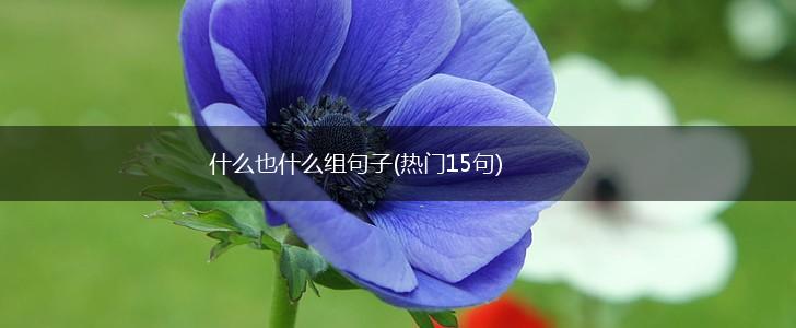 什么也什么组句子(热门15句),第1张