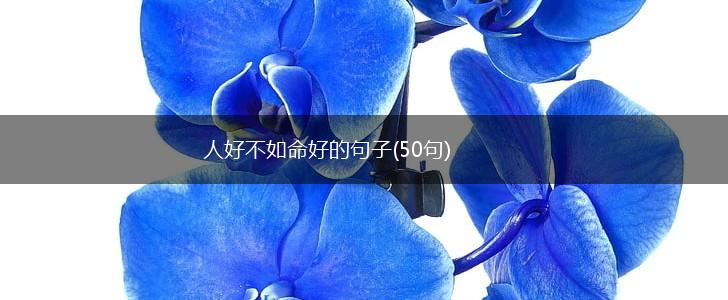 人好不如命好的句子(50句),第1张