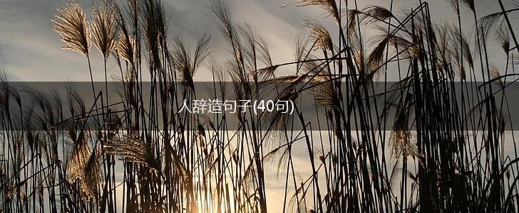 人辞造句子(40句),第1张
