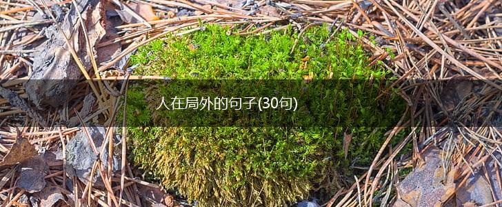 人在局外的句子(30句),第1张