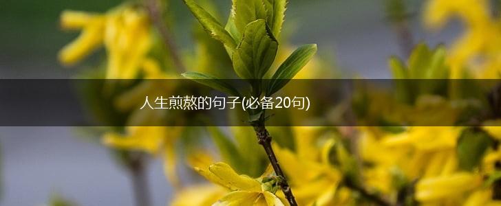 人生煎熬的句子(必备20句),第1张