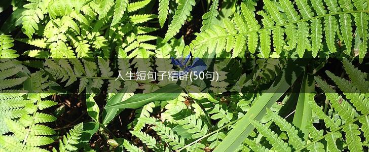 人生短句子精辟(50句),第1张