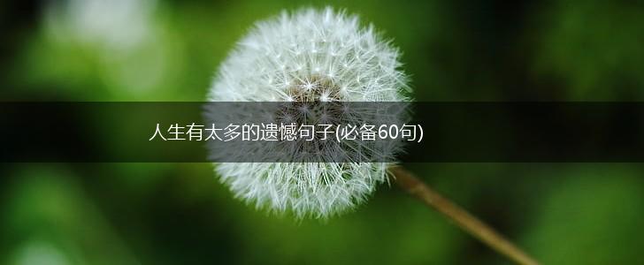 人生有太多的遗憾句子(必备60句),第1张
