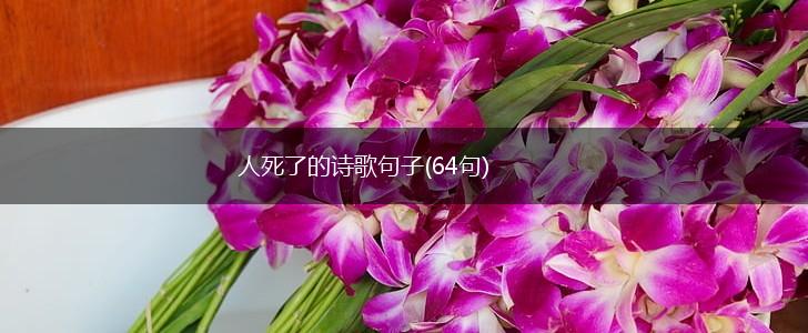 人死了的诗歌句子(64句),第1张