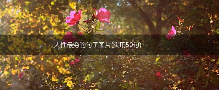 人性最穷的句子图片(实用50句),第1张