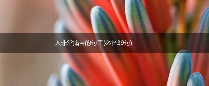 人非常痛苦的句子(必备39句),第1张