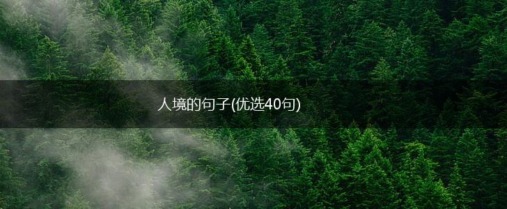 人境的句子(优选40句),第1张
