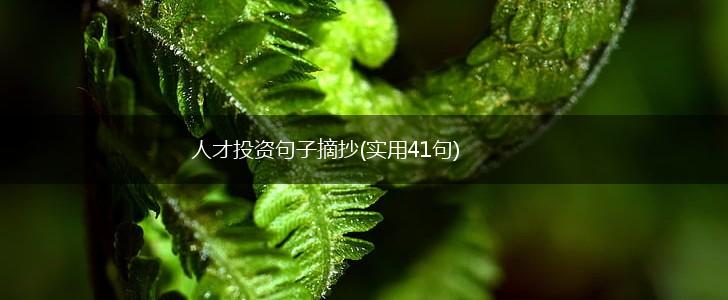 人才投资句子摘抄(实用41句),第1张