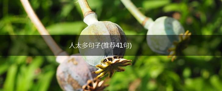 人太多句子(推荐41句),第1张