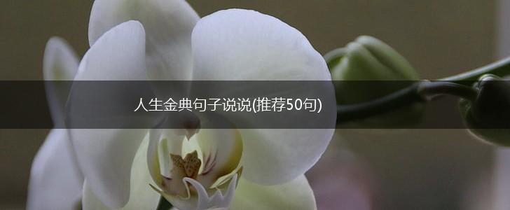 人生金典句子说说(推荐50句),第1张