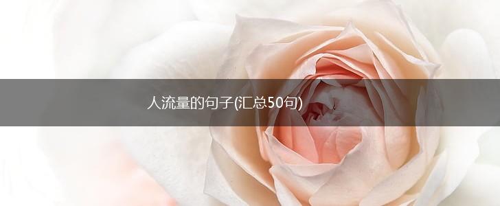 人流量的句子(汇总50句),第1张