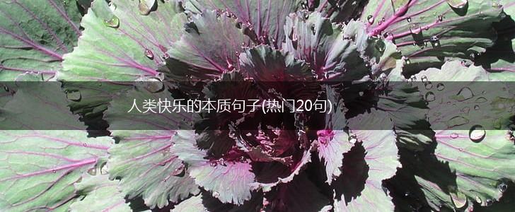 人类快乐的本质句子(热门20句),第1张