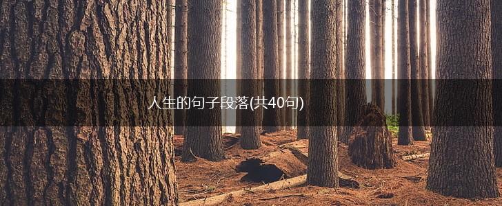 人生的句子段落(共40句),第1张
