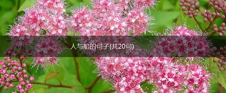 人与船的句子(共20句),第1张