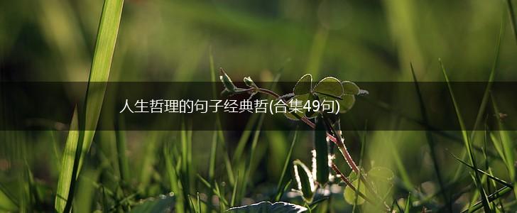 人生哲理的句子经典哲(合集49句),第1张