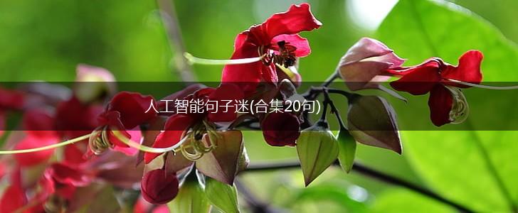 人工智能句子迷(合集20句),第1张