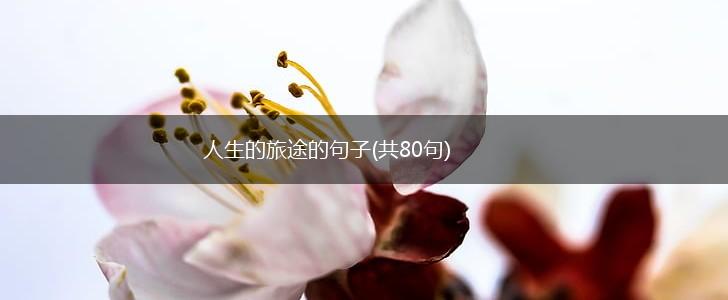 人生的旅途的句子(共80句),第1张