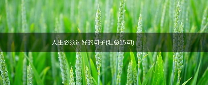 人生必须过好的句子(汇总15句),第1张