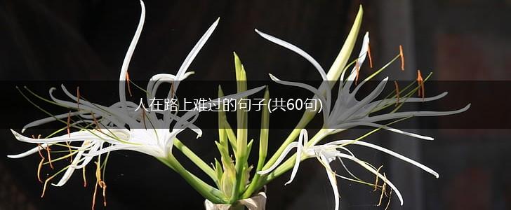 人在路上难过的句子(共60句),第1张