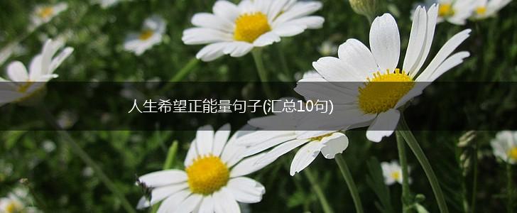人生希望正能量句子(汇总10句),第1张