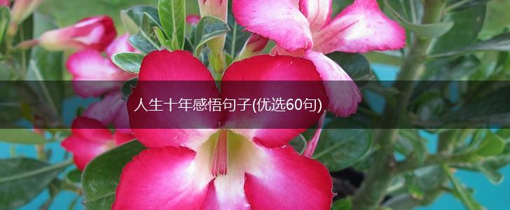 人生十年感悟句子(优选60句),第1张