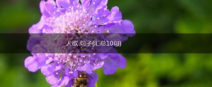 人欲 句子(汇总10句),第1张