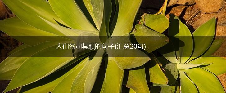 人们各司其职的句子(汇总20句),第1张