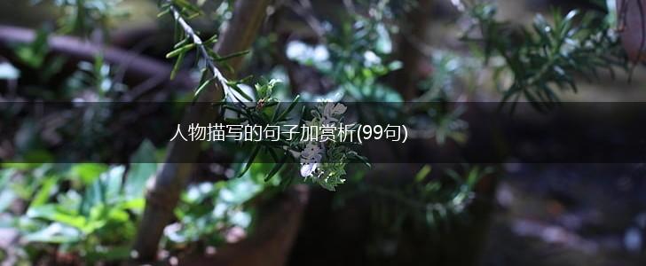 人物描写的句子加赏析(99句),第1张