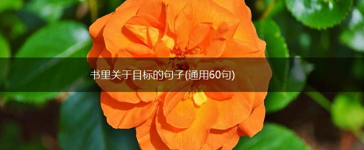 书里关于目标的句子(通用60句),第1张