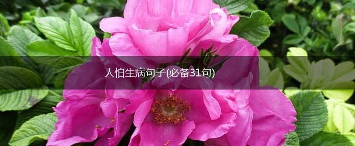 人怕生病句子(必备31句),第1张