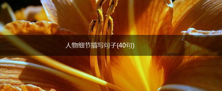 人物细节描写句子(40句),第1张